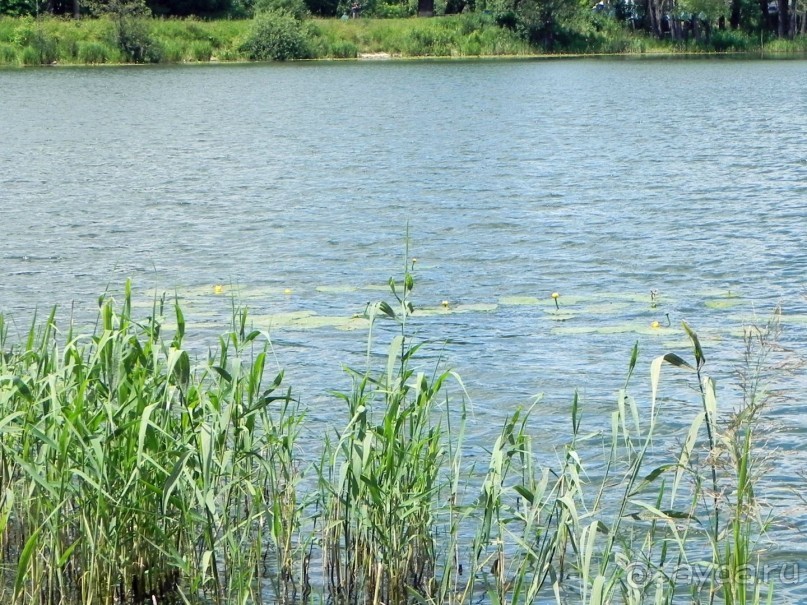 По малым гетманским городам в партизанский край