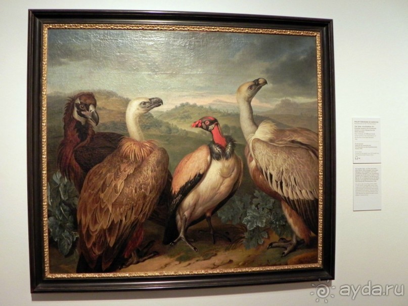 Венские «чудесатости». В гости к Климту ( I )