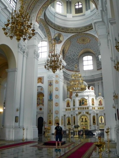 Бел- Ost (II). Витебские «похождения».