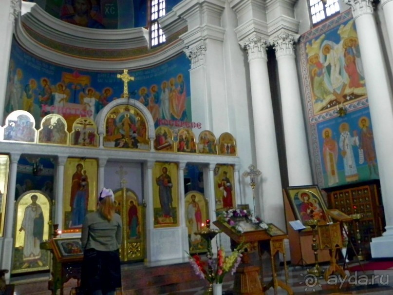 Бел- Ost (II). Витебские «похождения».