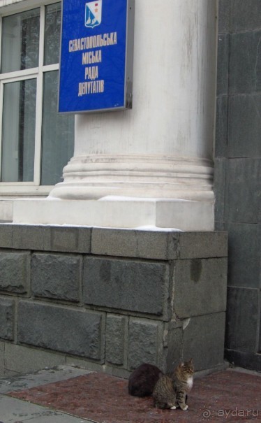 Предрождественский Севаcтополь