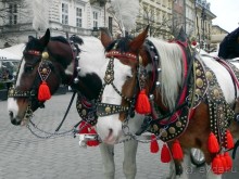 Пять страниц из  Краковского тур - дневника.