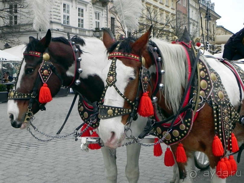 Пять страниц из  Краковского тур - дневника.