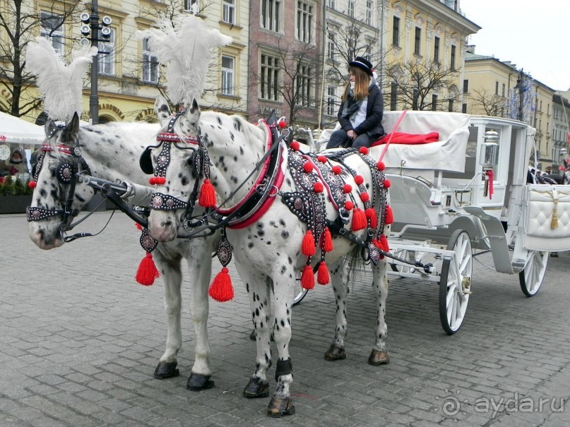Пять страниц из  Краковского тур - дневника.
