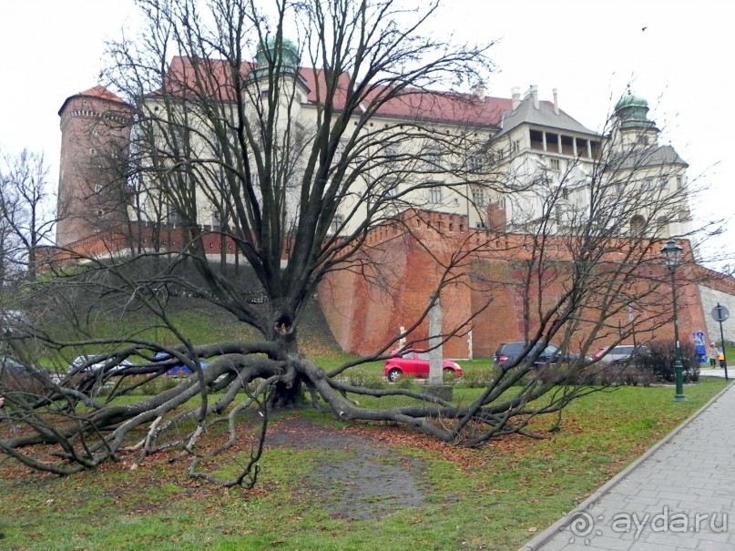 Пять страниц из  Краковского тур - дневника.
