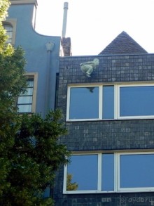 Кёльнский ДОМ  и окрестности (IV).