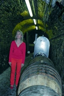 В винных погребах