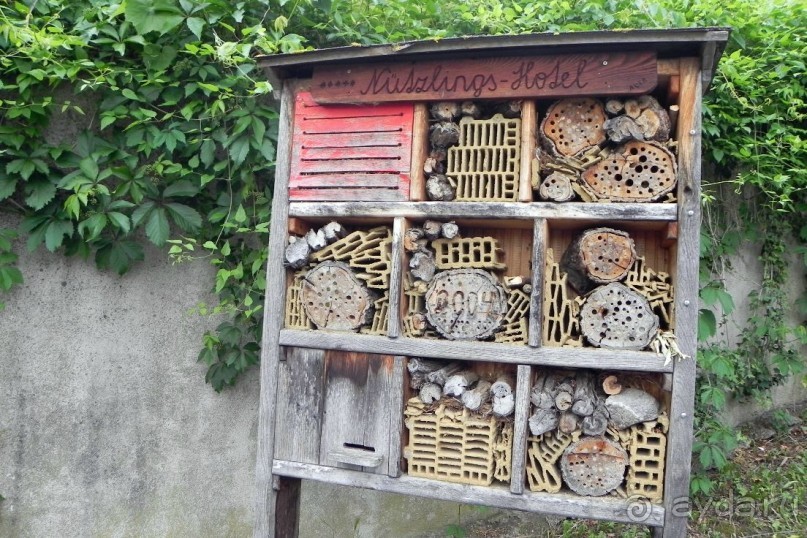 Шутка по-австрийски: Отель для насекомых