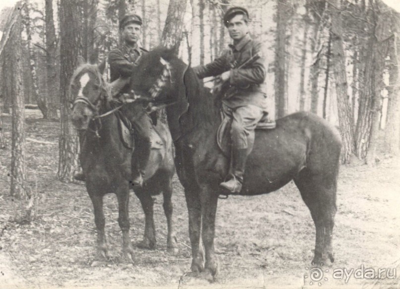 Сумма впечатлений от Сум.