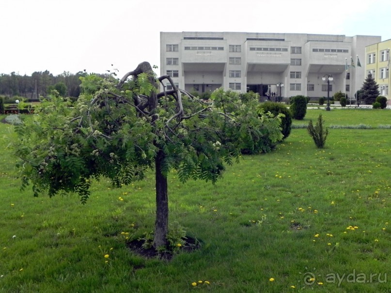 Сумма впечатлений от Сум.