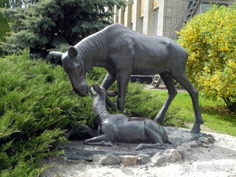 Сумма впечатлений от Сум.