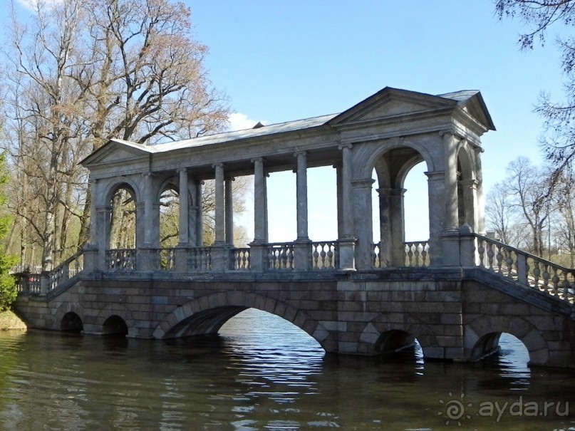 История Первой мировой войны в Царском селе.