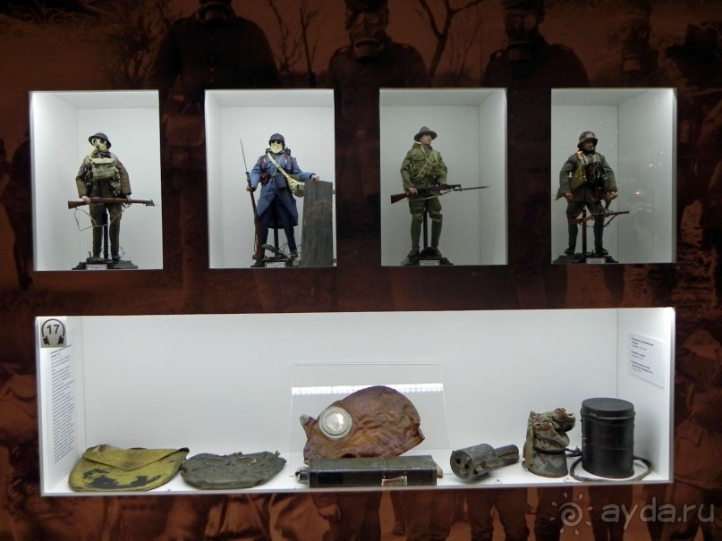 История Первой мировой войны в Царском селе.