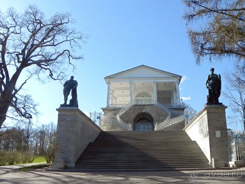 История Первой мировой войны в Царском селе.