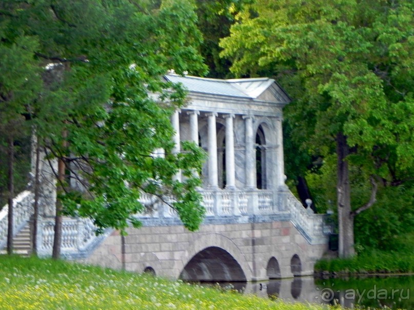 Альбом отзыва "История Первой мировой войны в Царском селе."