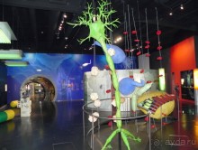 Немецкий музей- гордость технократов Мюнхена.