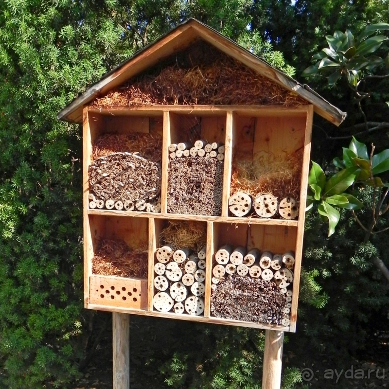 Венские «чудесатости». Хундертвассер и Нечто вдали от Ринга (Часть III) 