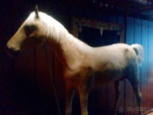 Три моих музейных открытия Парижа. (П… №999 - ч.3)