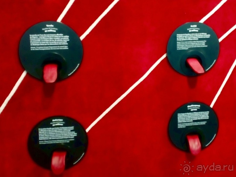 Три моих музейных открытия Парижа. (П… №999 - ч.3)