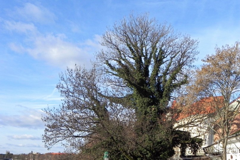 Блиц- тур по «рождественской» Украине. Ужгород и Мукачево.