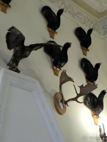 Околицами Беларуси. Нясвиж (IV)