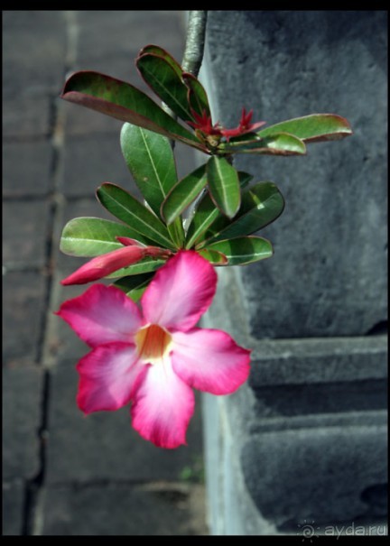 Дикарем по Вьетнаму с севера на юг...