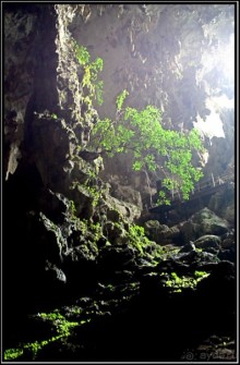 Дикарем по Вьетнаму с севера на юг...