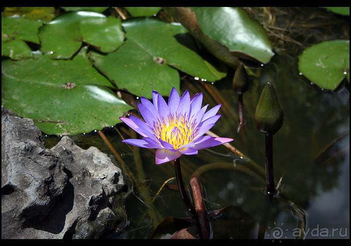 Дикарем по Вьетнаму с севера на юг...