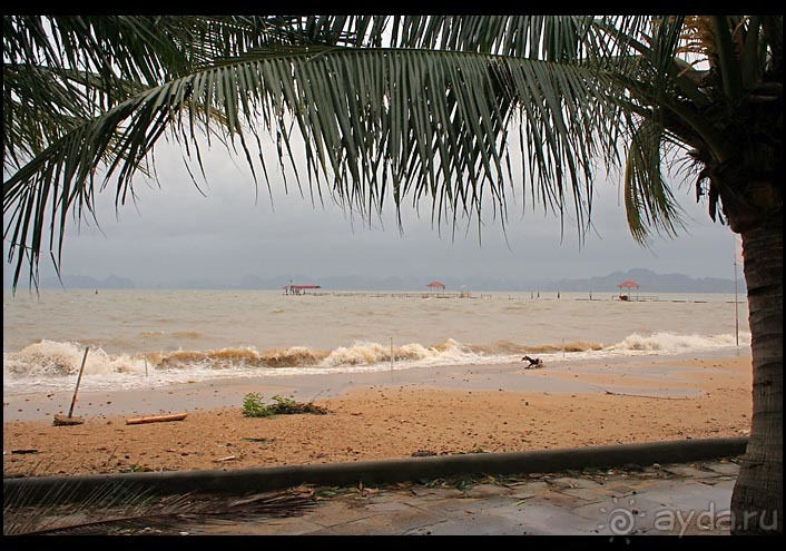 Дикарем по Вьетнаму с севера на юг...