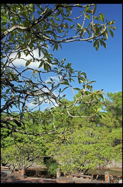 Дикарем по Вьетнаму с севера на юг...