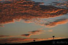 Мед Драконового Дерева.Йемен-Сокотра.