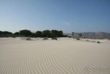 Мед Драконового Дерева.Йемен-Сокотра.