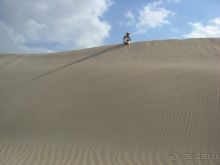 Мед Драконового Дерева.Йемен-Сокотра.