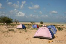 Мед Драконового Дерева.Йемен-Сокотра.