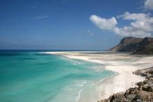 Мед Драконового Дерева.Йемен-Сокотра.