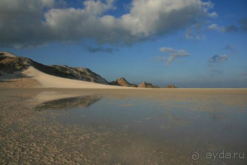 Мед Драконового Дерева.Йемен-Сокотра.