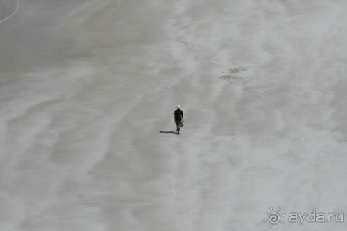 Мед Драконового Дерева.Йемен-Сокотра.