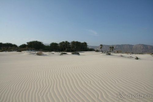 Мед Драконового Дерева.Йемен-Сокотра.