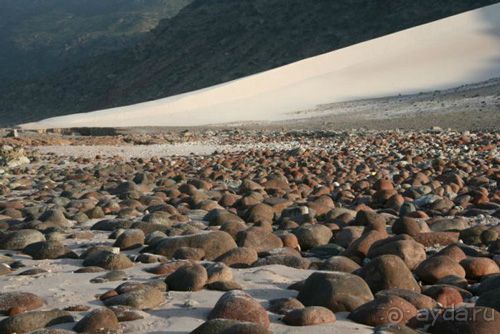 Мед Драконового Дерева.Йемен-Сокотра.