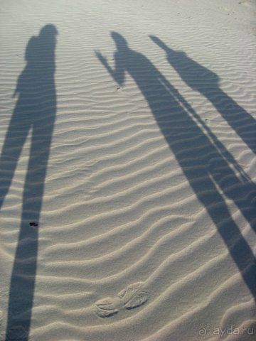 Мед Драконового Дерева.Йемен-Сокотра.