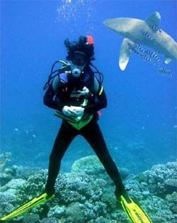 Хургада, Марса Алам, Сафага