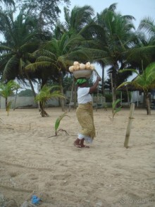 Побережье, примерно 50-60 км в сторону Ганы, какое-то ресторанное место.