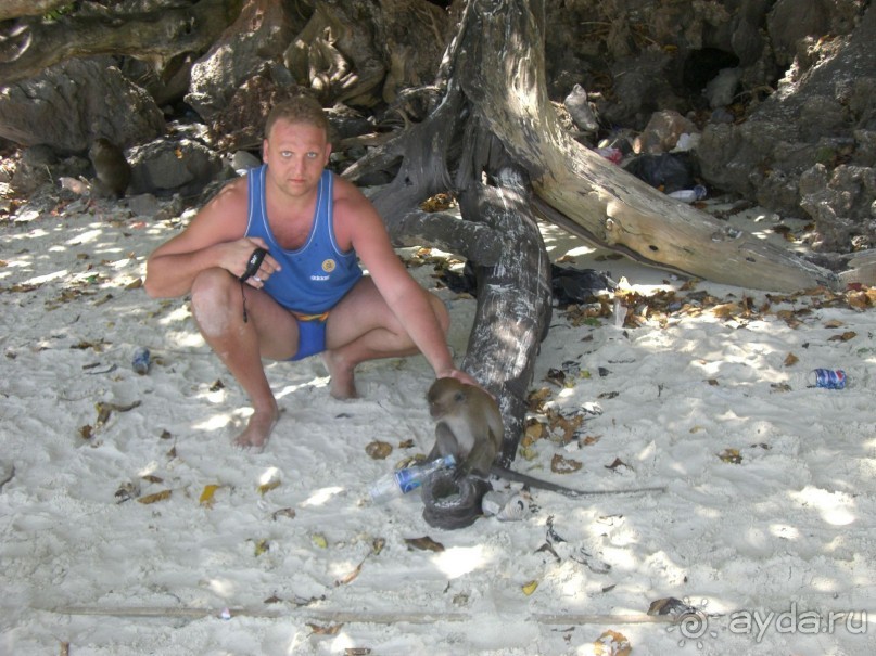 Сиамский вояж