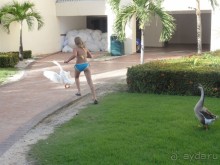 Доминикана – пиратский рай