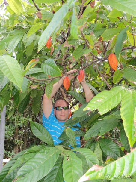 Доминикана – пиратский рай