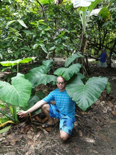 Доминикана – пиратский рай