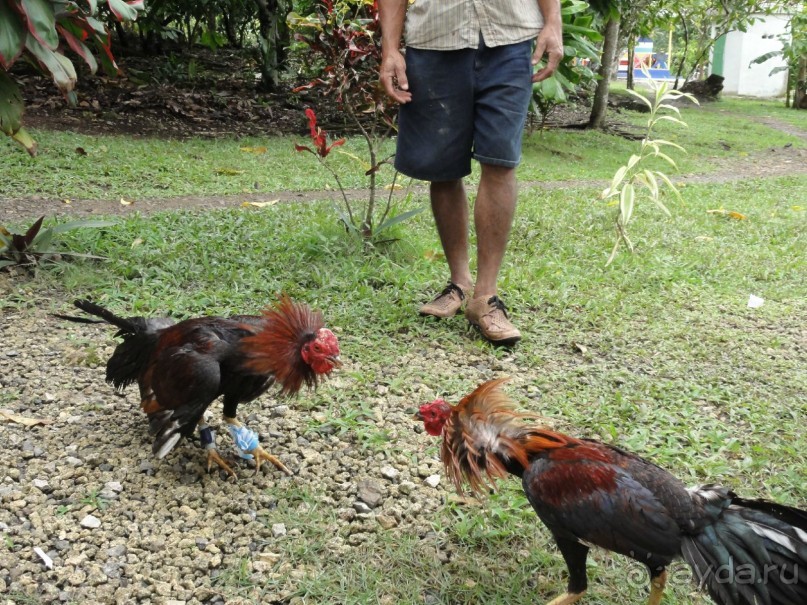 Доминикана – пиратский рай