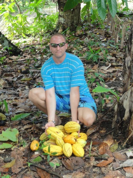 Доминикана – пиратский рай