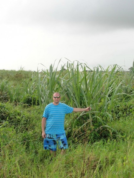 Доминикана – пиратский рай