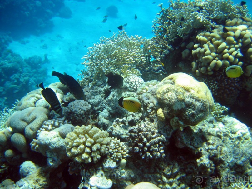 фото Levitunturi